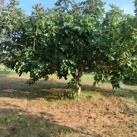 度假居 Cascina Vittorio *