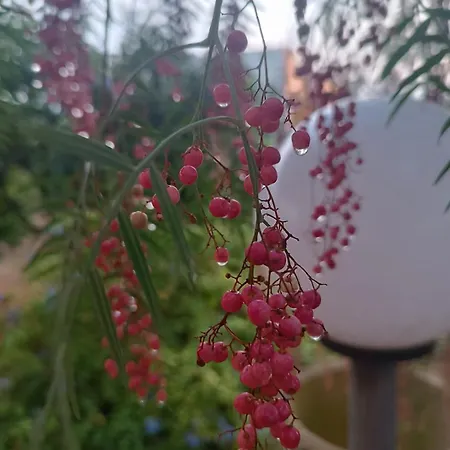 度假居 Cascina Vittorio *